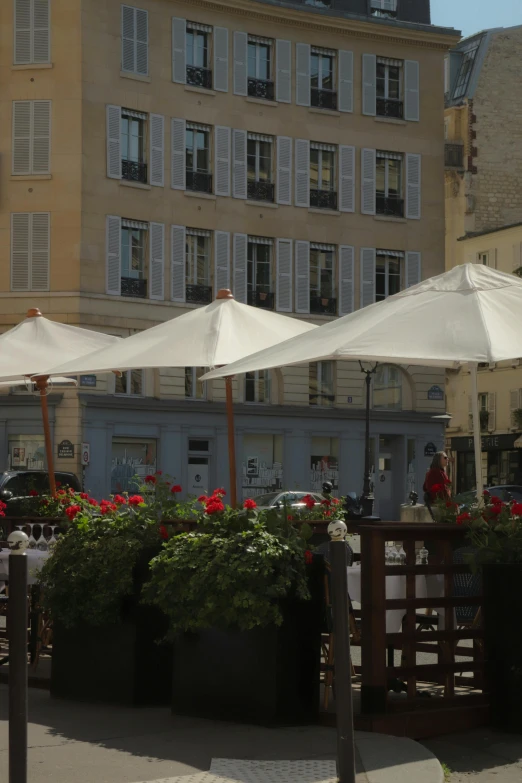 a patio with several umbrellas and flowers and a building behind it