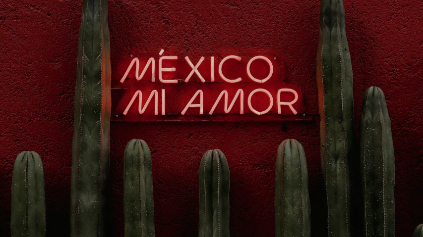 the neon mexican sign in front of a red wall near cacti