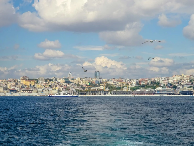 two seagulls flying above the ocean in front of a city