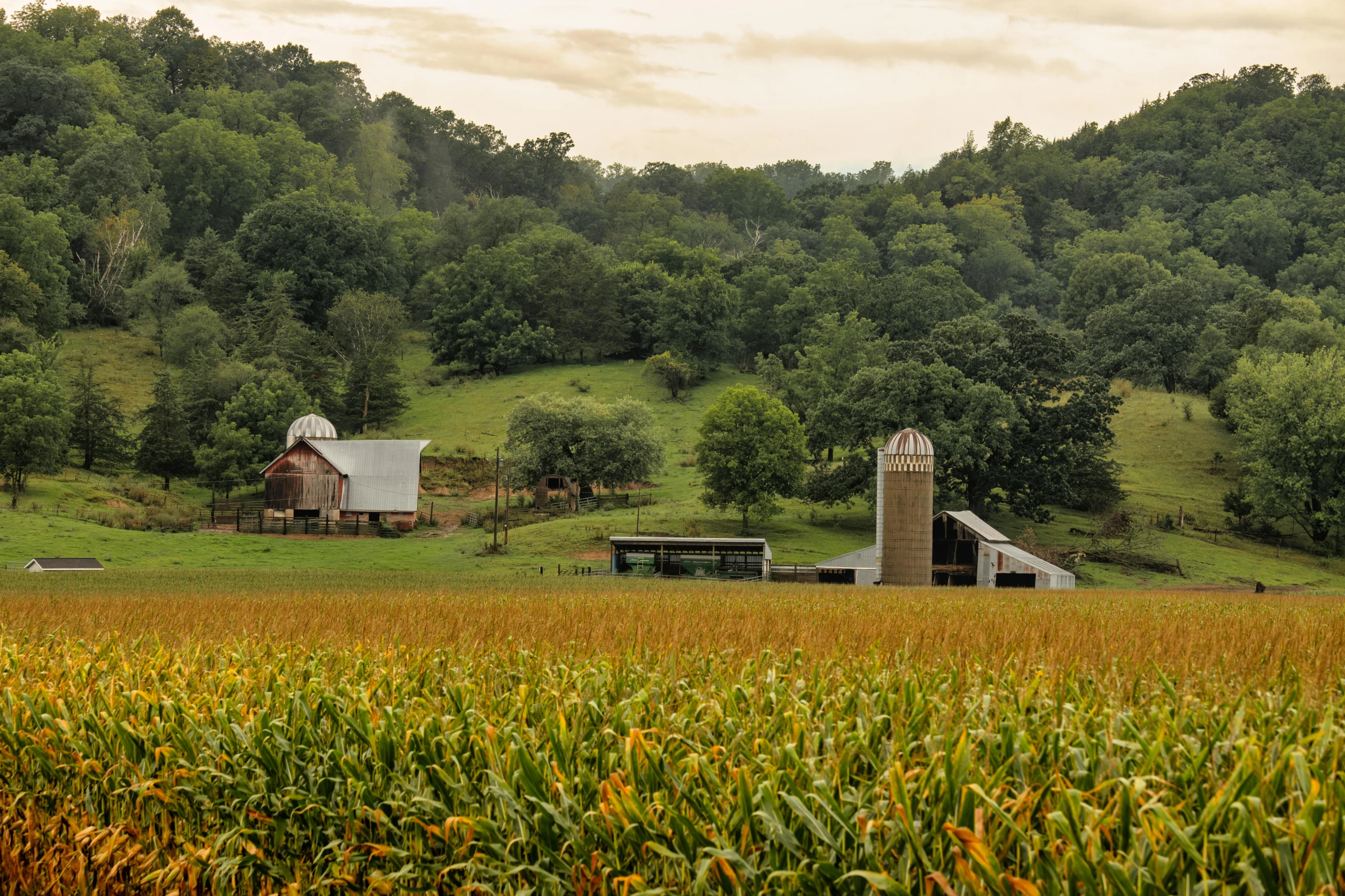 an open field near a rural farm on a partly cloudy day