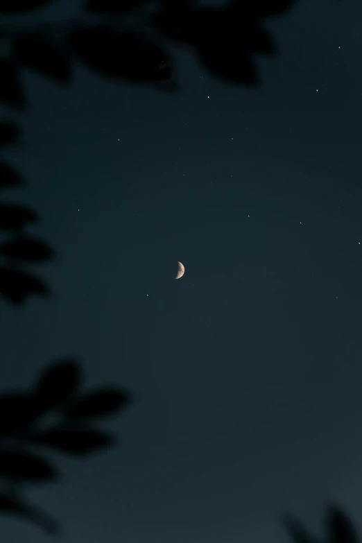 the moon and the earth are visible in the night sky