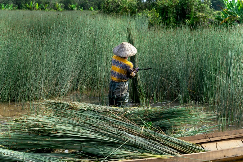 the man is holding a cane in front of some green brush