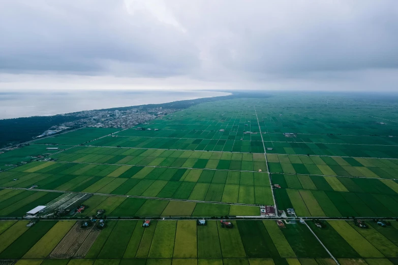 view of a landscape of green fields and a large body of water