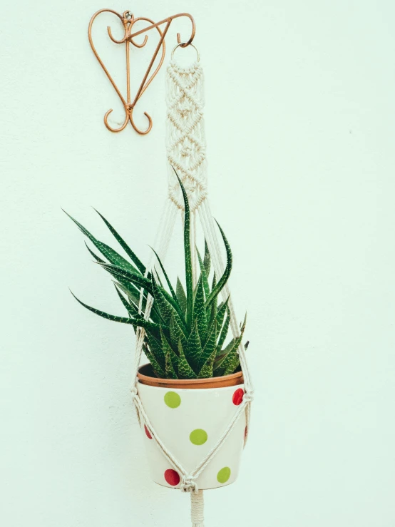 a hanging planter with plants on it that are decorated in dots