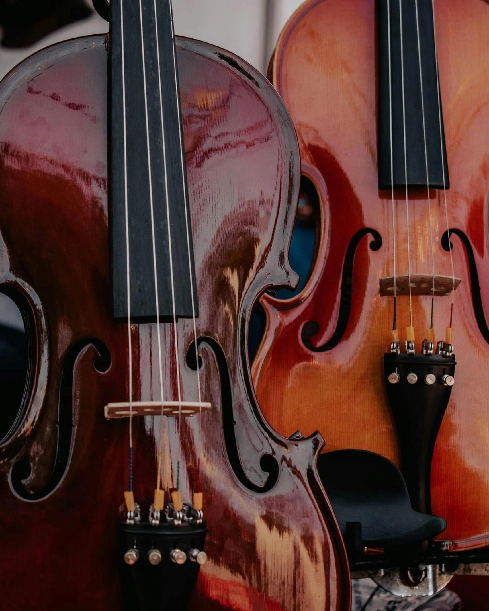 three cellos in front of each other