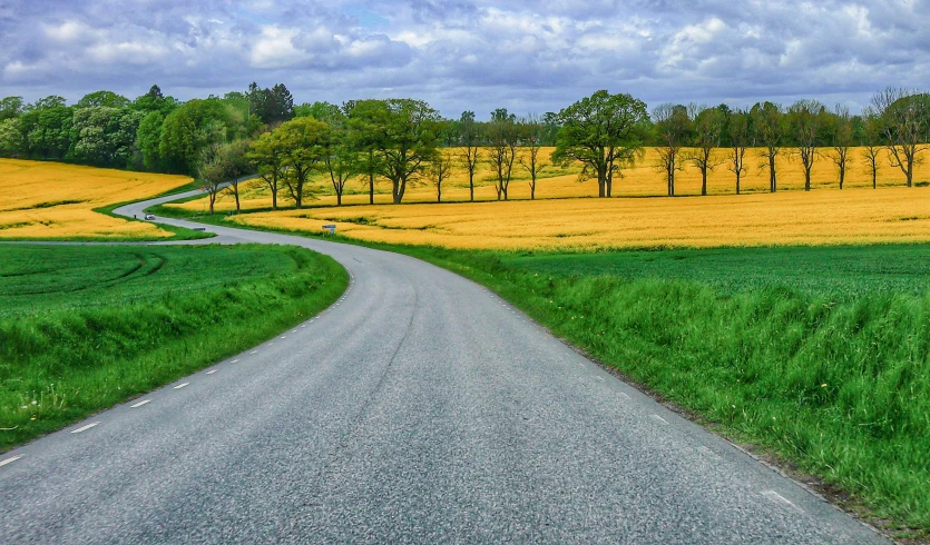 a winding, empty road winds through a field