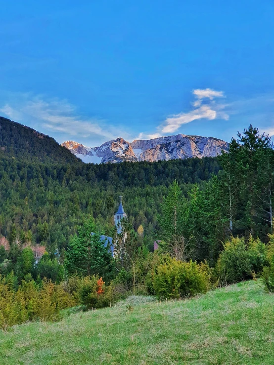 the mountains are covered in green trees