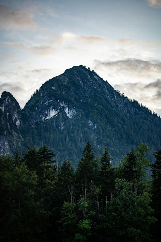 this is a picture of mountains, trees, and a body of water