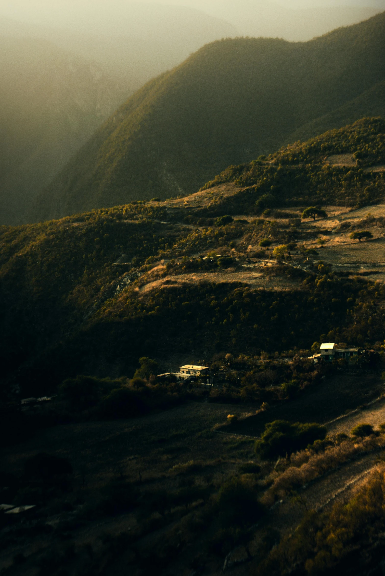 the green hills are next to the road