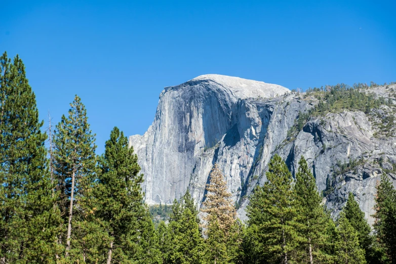 view of a large rock in the woods