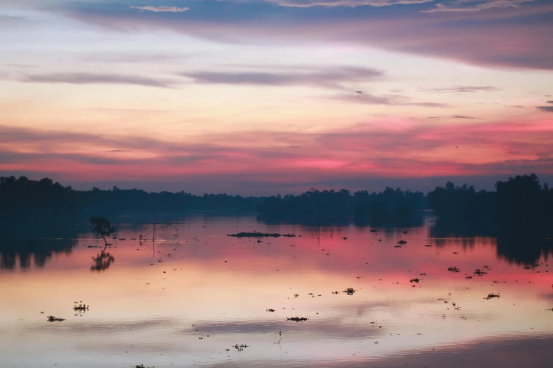 water with trees and boats floating in it at sunset