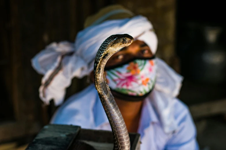 a woman with a mask on, has a snake wrapped around her face