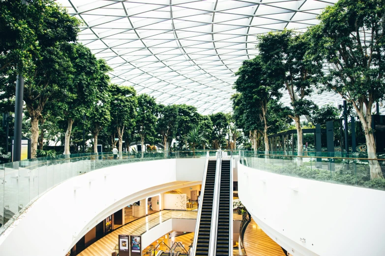 an empty mall, with escalators and benches