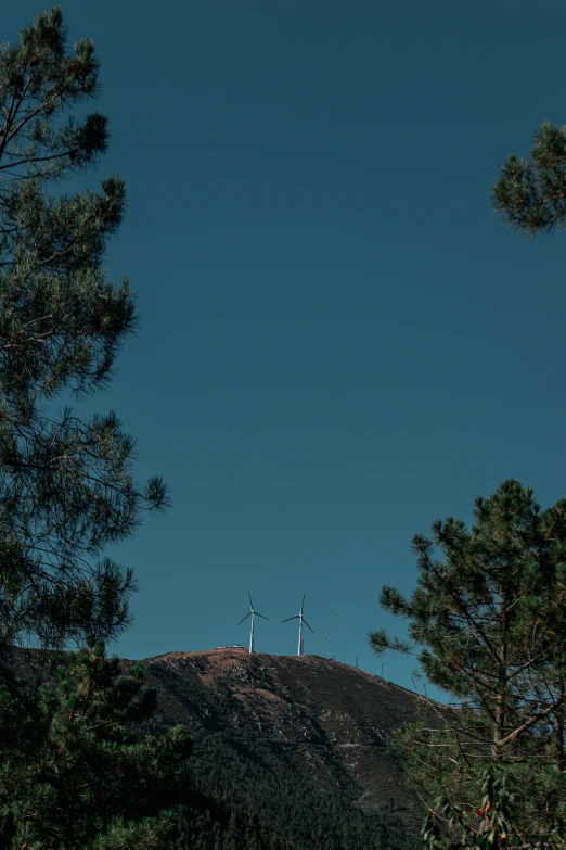 a tree and building are visible on top of a hill