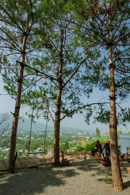 the people sit under trees on the edge of the hill