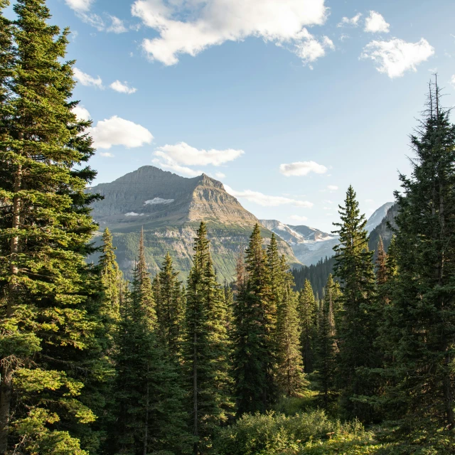 a rocky mountain in the distance with a lake and forest surrounding it