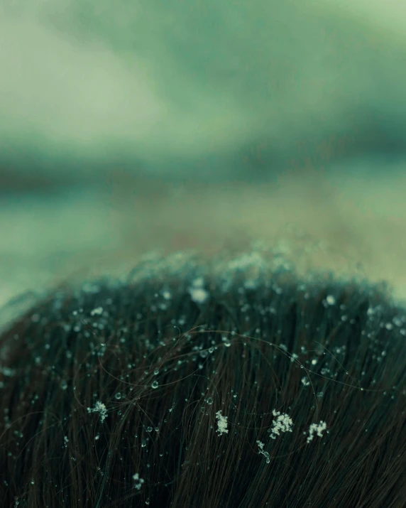 a closeup of a person's hair with some hair flecking