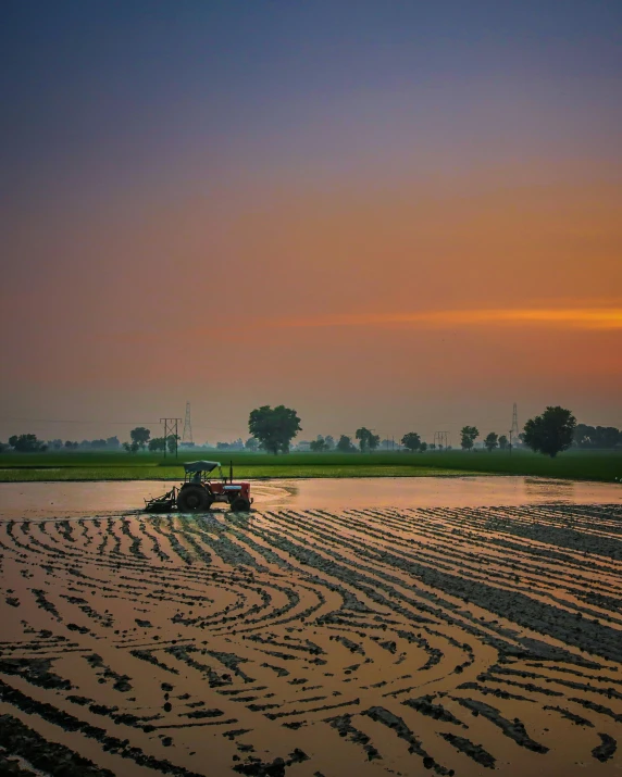 an tractor drives through the field during the sunset