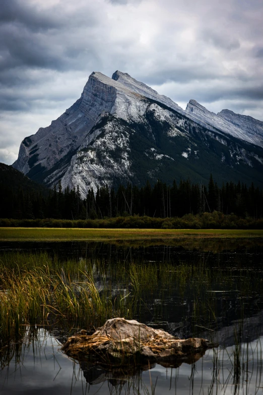 a rock sitting in the water next to a snow capped mountain
