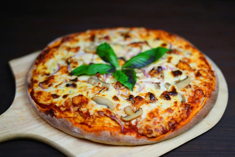 a close up view of a pizza on a board