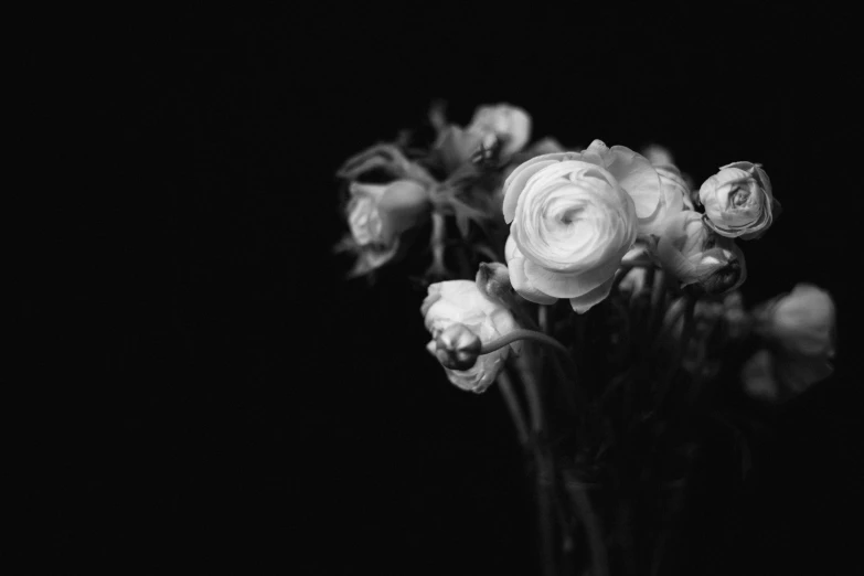 this is a black and white po of flowers