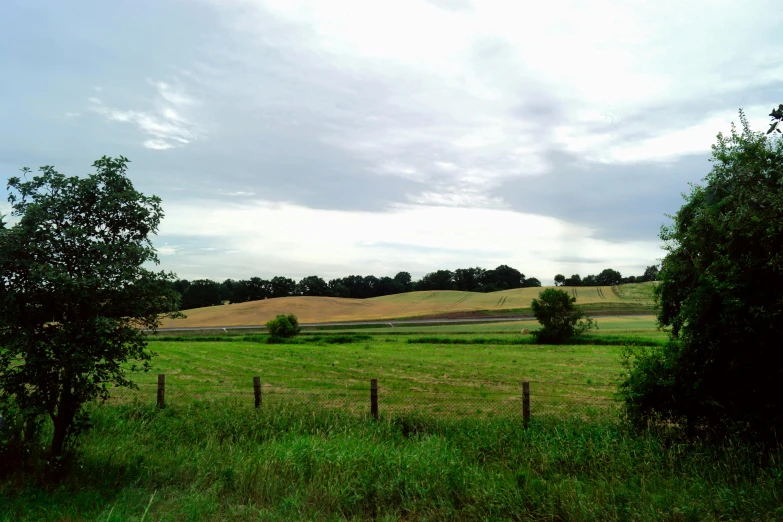 a farm in a big field with trees around it