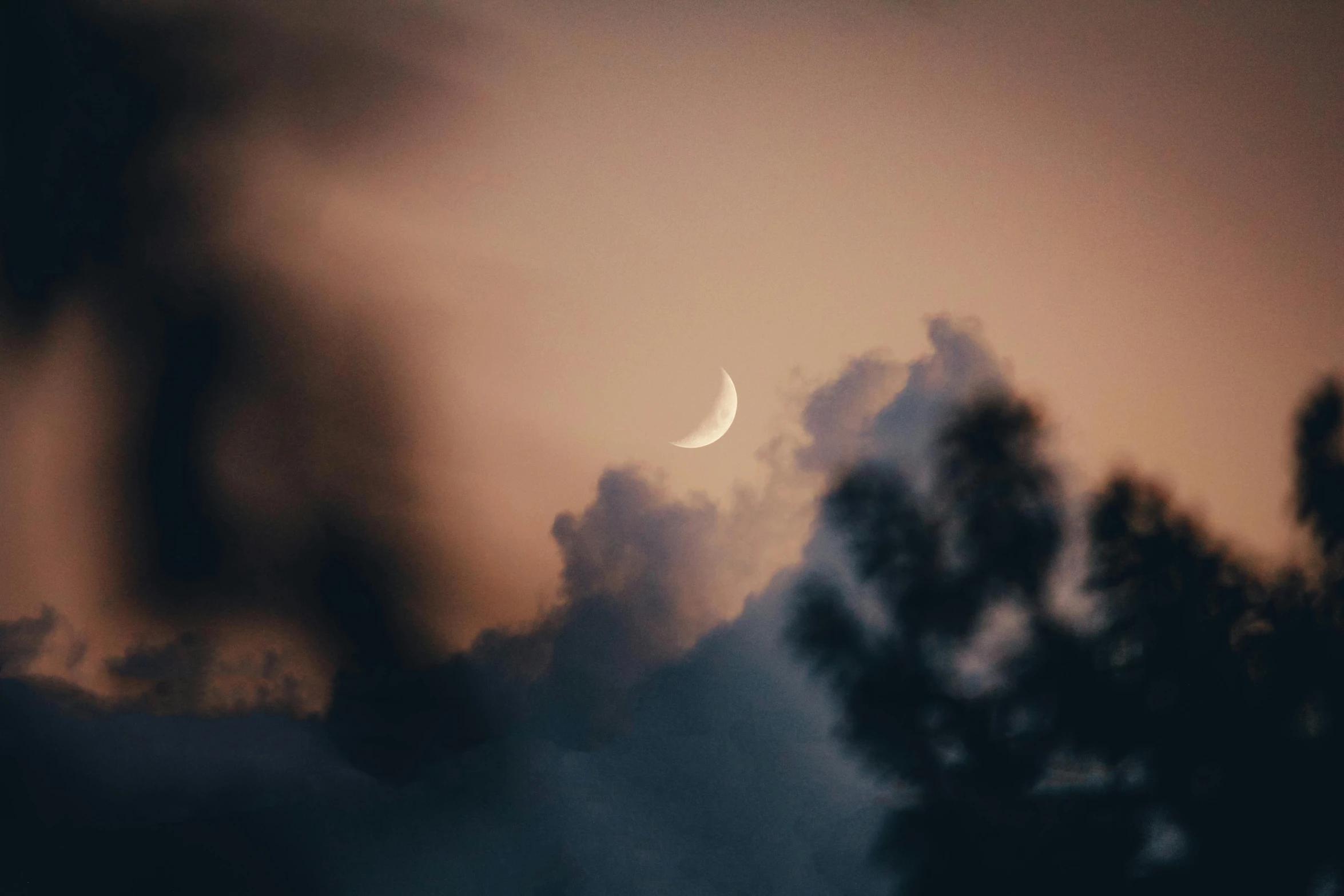 a picture of a half - moon over trees and clouds