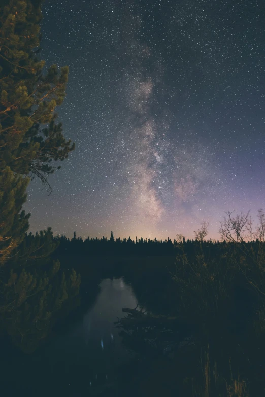 night view of stars above trees and river