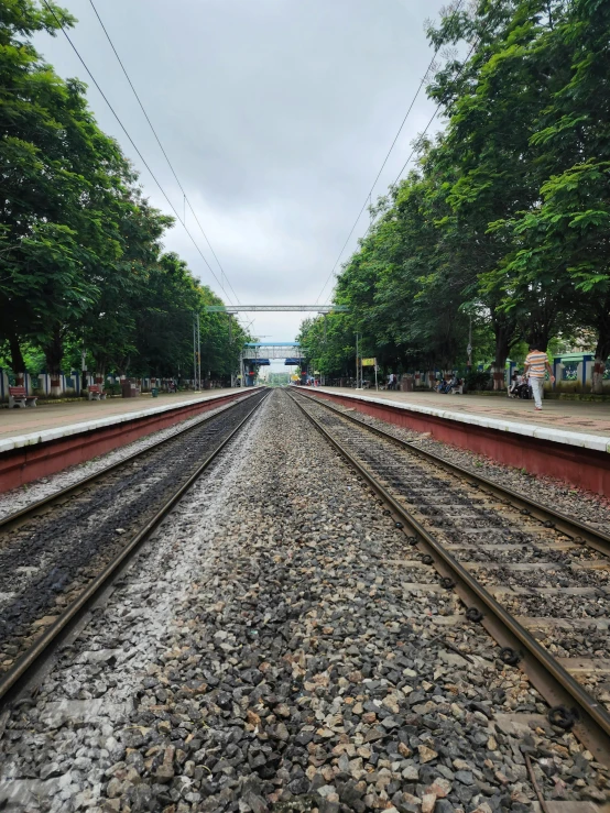 a train track is surrounded by trees and power lines