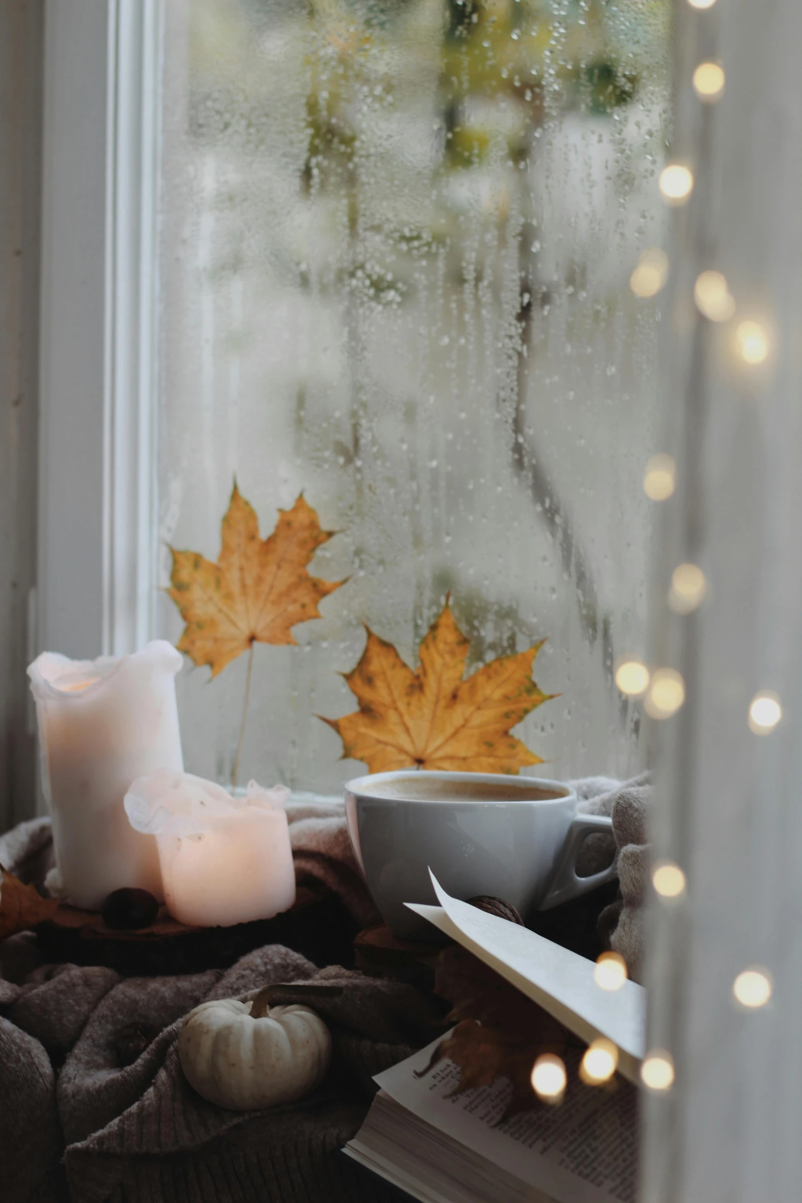 autumn leaves, candles, a tealight candle, and a cup sit in front of the window