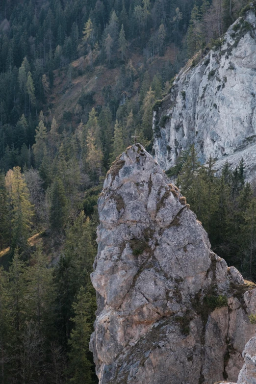 a mountain with two large rocks next to forest