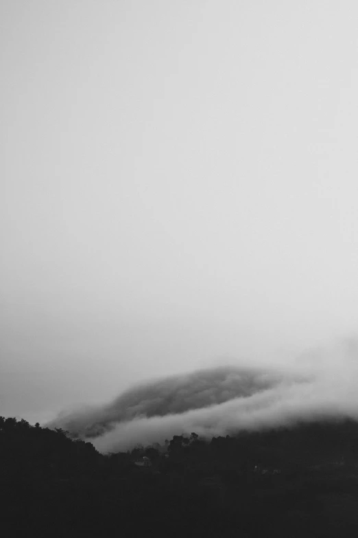 a bird flying by a cloud covered hillside