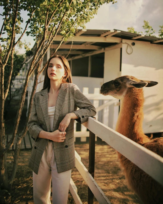 a woman standing on the side of a wooden fence near two llamas