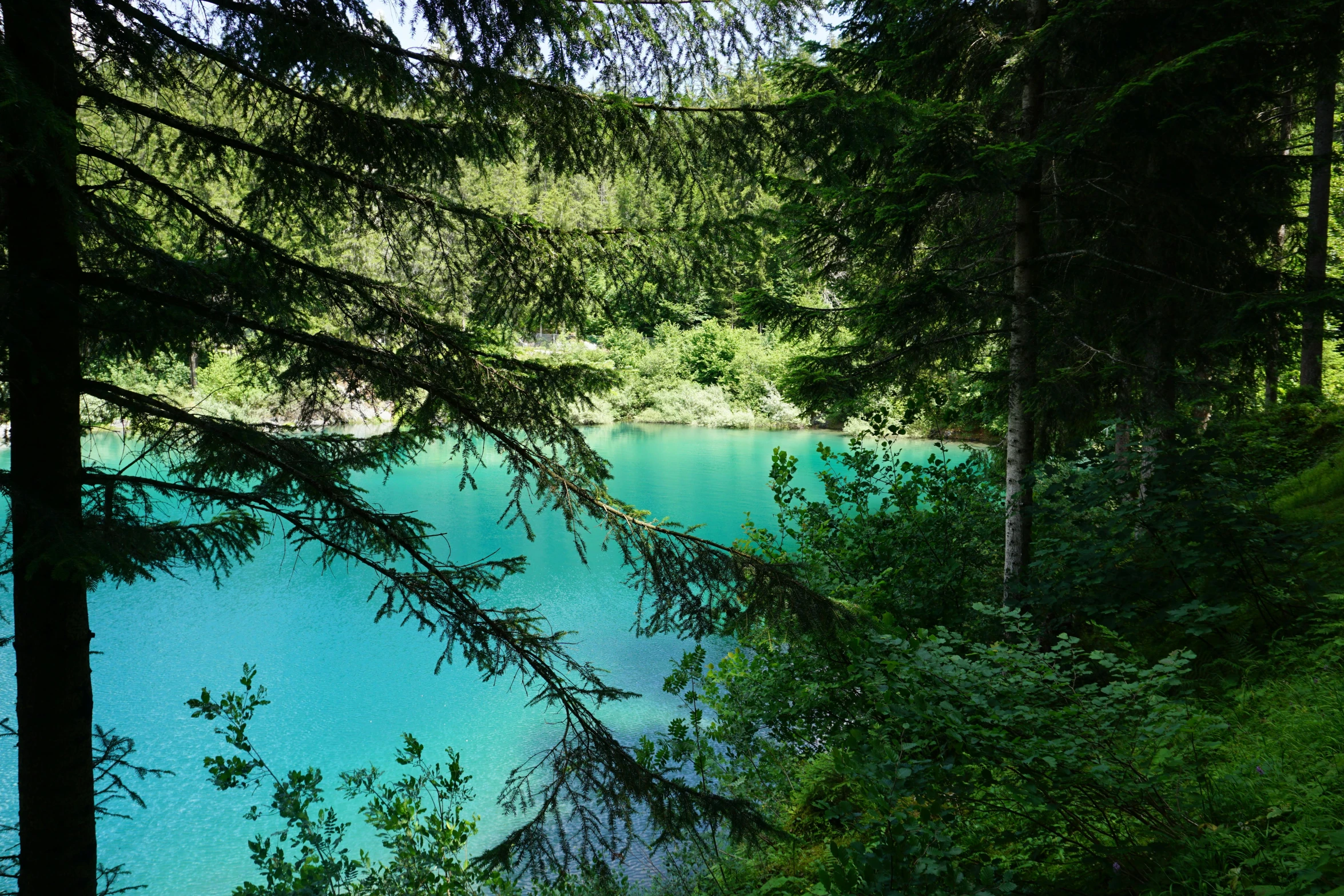 a lake is blue and surrounded by forest