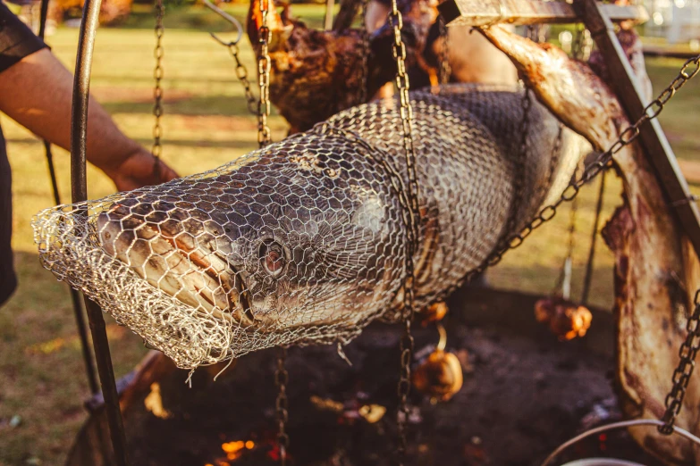 a wire net hanging from a wooden pole