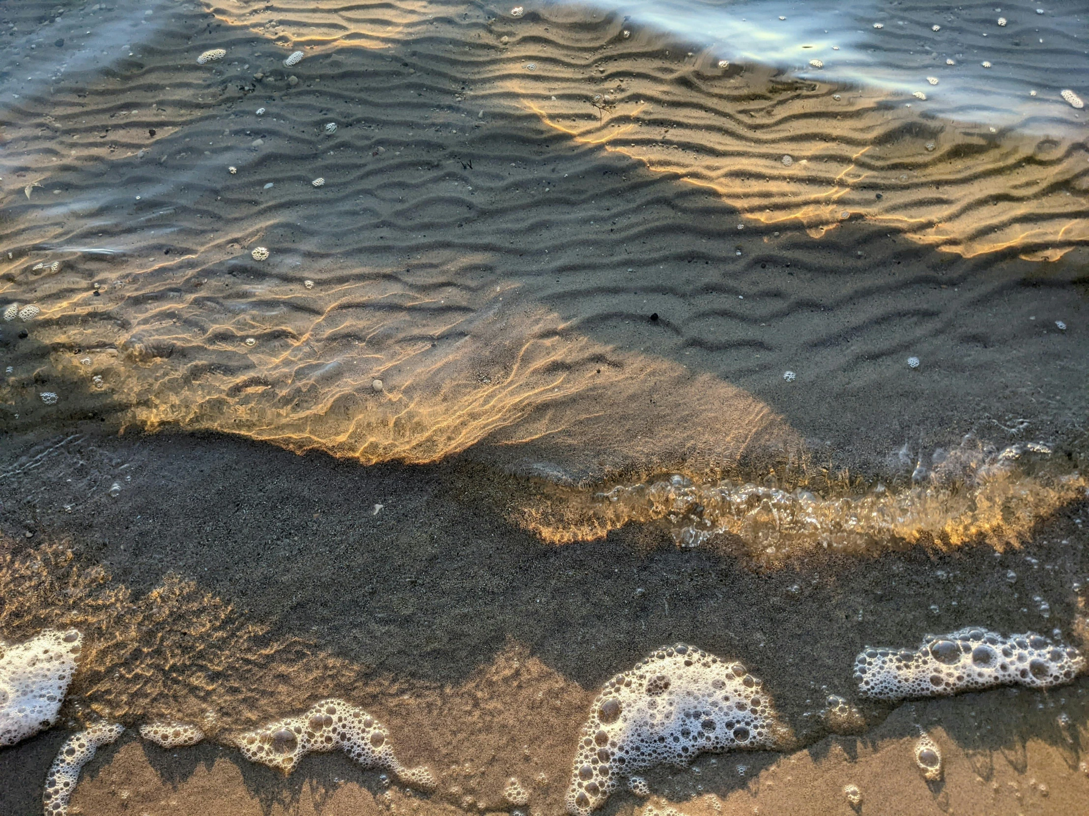 an image of sand and seaweed on the beach