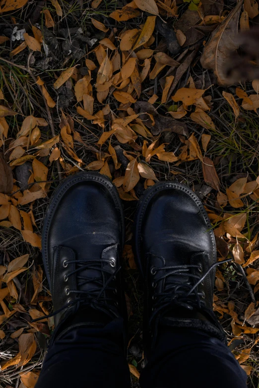 a person standing on a leaf covered ground