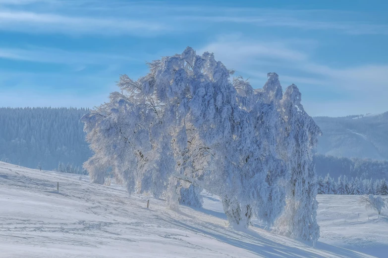 two people skiing on a snow covered mountain