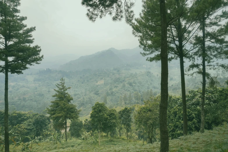 a scenic view of mountains, trees, and grass