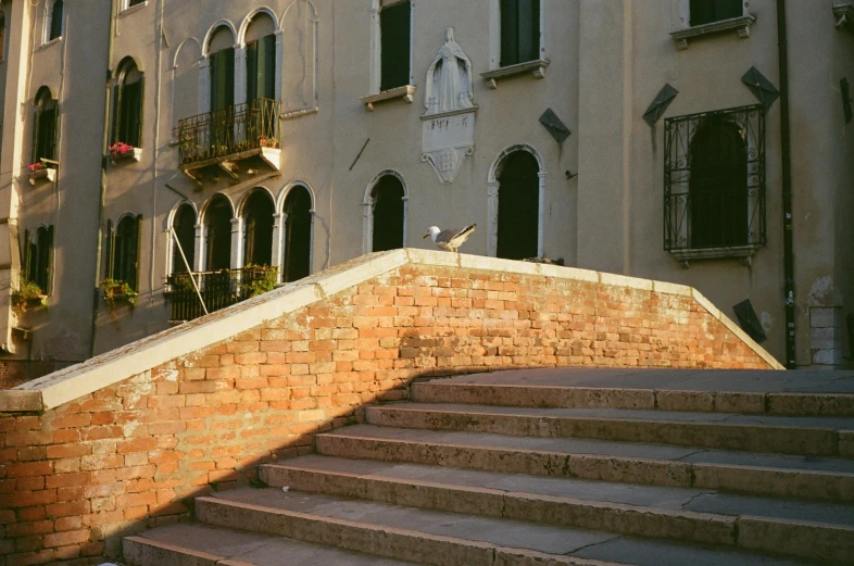 two birds sit atop a brick wall in a street in front of buildings