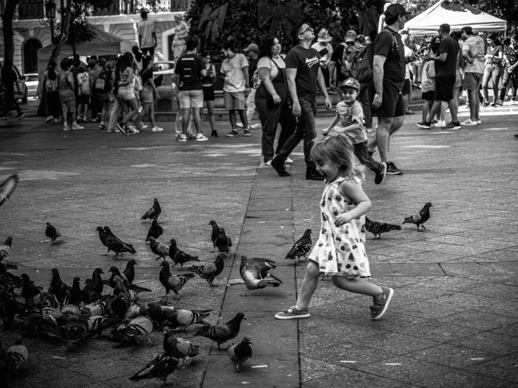 black and white pograph of girl walking through a flock of birds