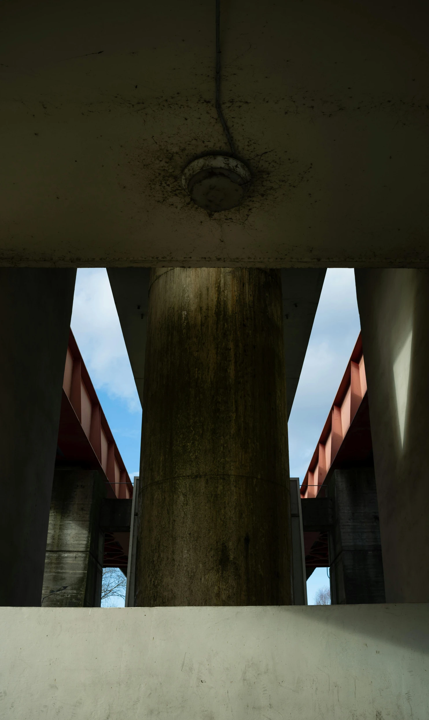 the top of a tree in front of a walkway