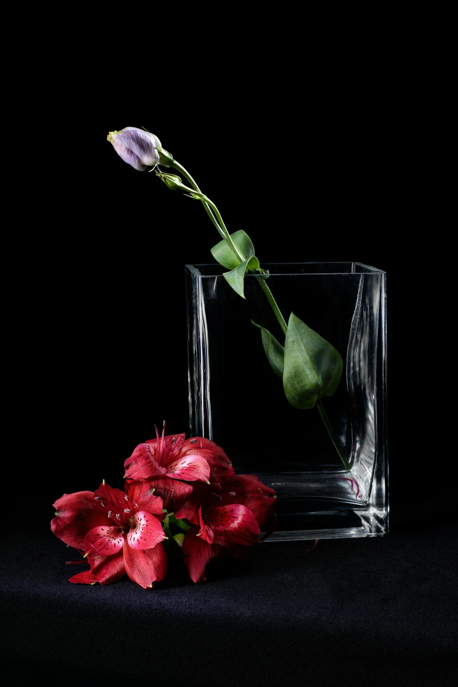 the flower is placed in a small square vase