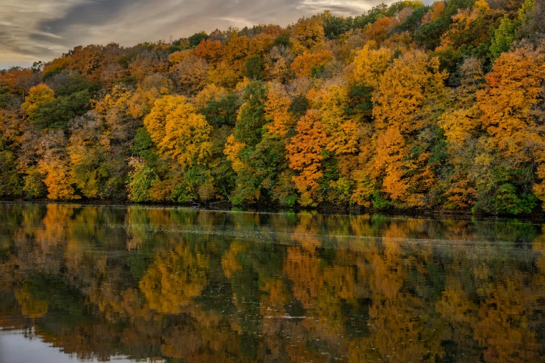 the reflection of the autumn trees in the lake