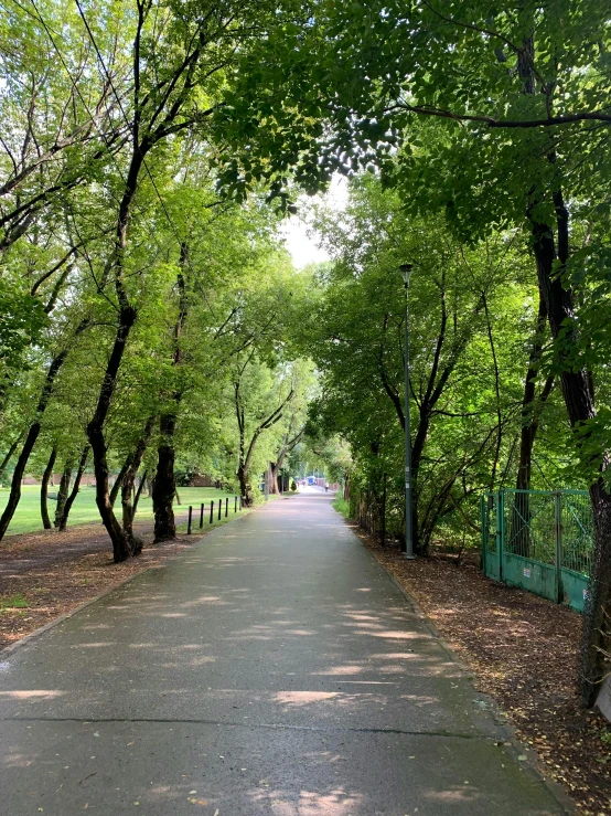 a bench at a park with lots of green trees