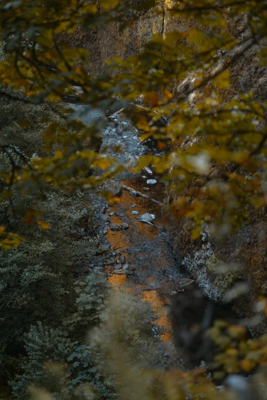 the po shows a view of a wooded area with a small river running down it