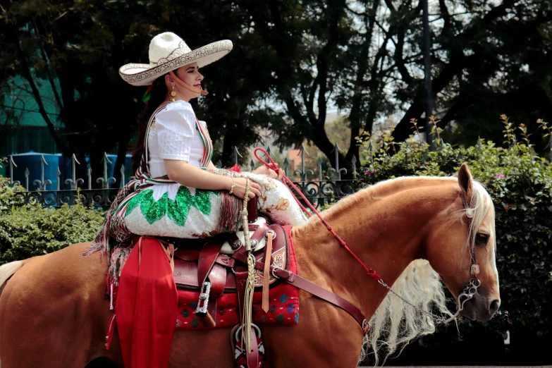 a lady wearing a cowboy hat sits on a horse
