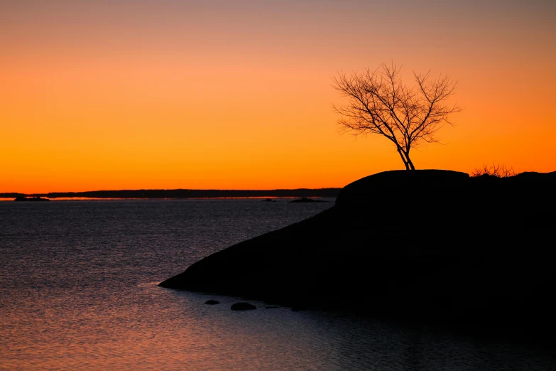 an image of sunset with a lone tree on a hill