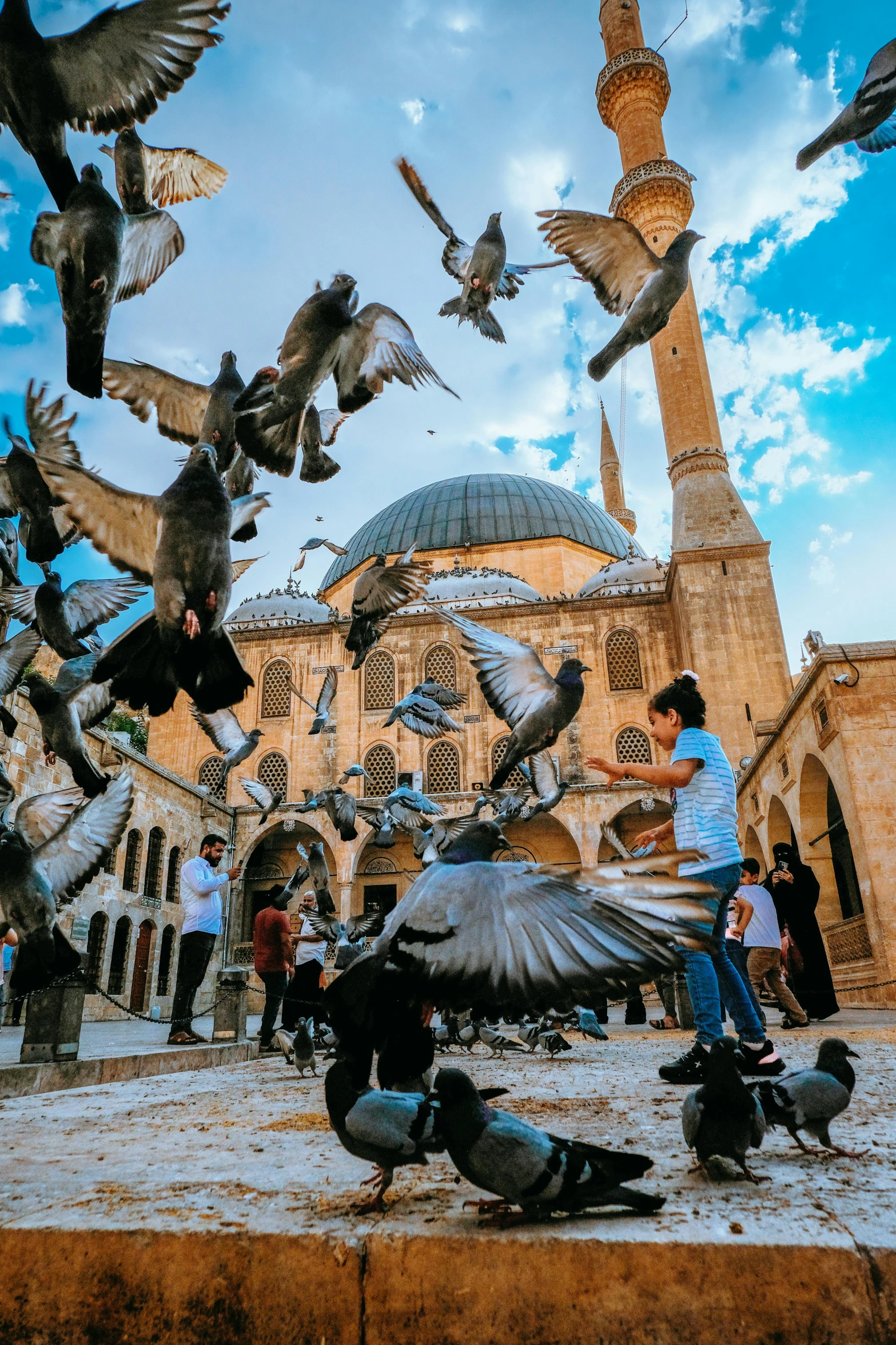 pigeons flying around a person in a courtyard