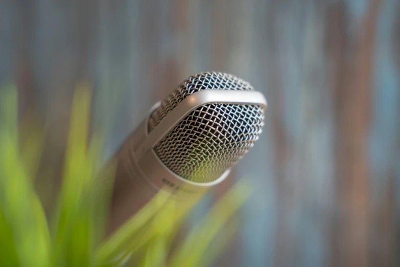 a closeup of a microphone near some plants